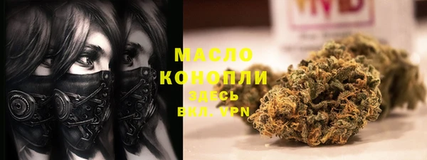 скорость Гусев