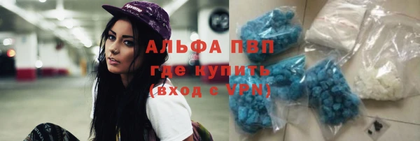 скорость Гусев