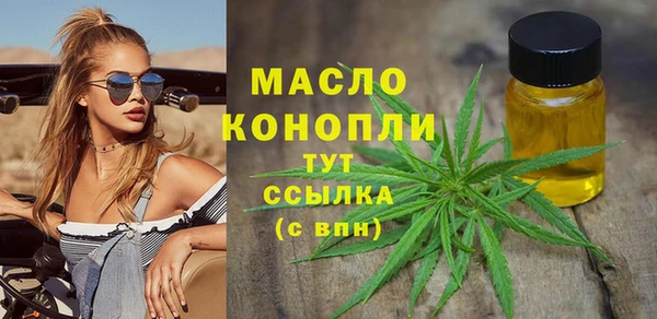 скорость Гусев